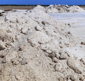Raw Industrial Salt