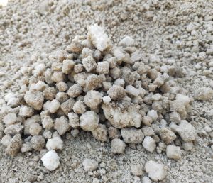 Raw Industrial Salt
