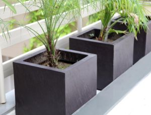 Fiber Planters