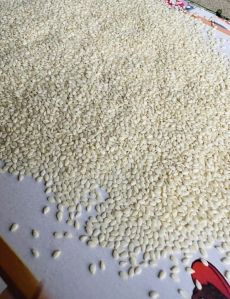 Cold Pressed Sesame Oil