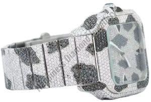 Silver Shine Bright Watch