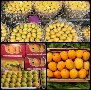 Indian Mangoes