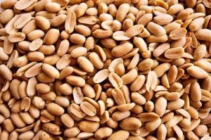 Blanched Peanuts