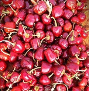 Mundu Dry Red Chilli
