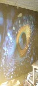 Digital Flex Printing Services