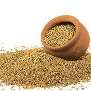 Barnyard Millets Seeds