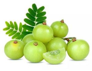 Fresh Amla