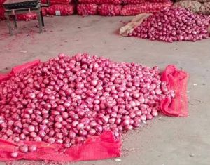 Red Onion