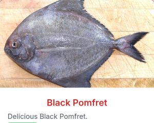 Black Pomfret Fish