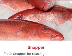 Snapper Fish