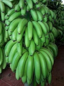 Natural Green Banana