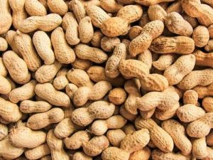 Peanut