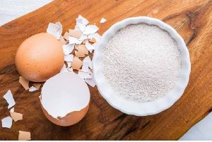 Egg Shell Powder