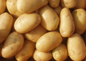 Fresh Brown Potato