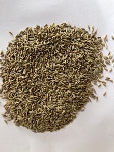 Cumin Seed
