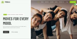 Enterprise Websites Development