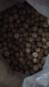 Gota  Areca Nut
