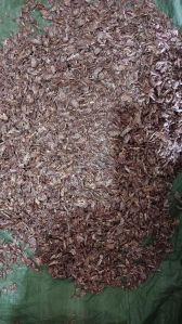 Mora Areca Nuts