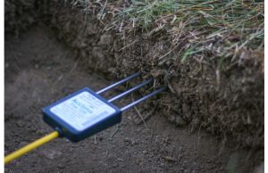 Acclima True TDR315N Soil Moisture Sensor