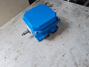 Belt Sway Switch