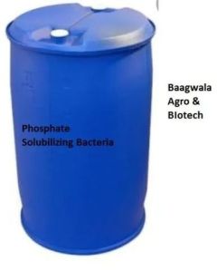 Phosphate Solubilizing Bacteria