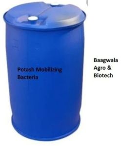 Potash Mobilizing Bacteria