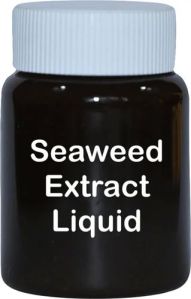 Liquid Seaweed Extract Fertilizer