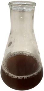 Vesicular Arbuscular Mycorrhiza liquid