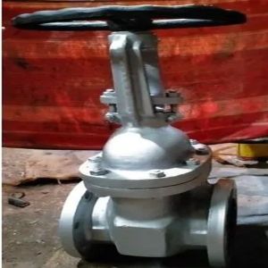 Cast Steel Class 600 Flange End Globe Valve