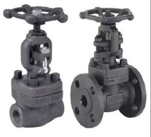 Forged Steel Globe Valve Class 800  Valve