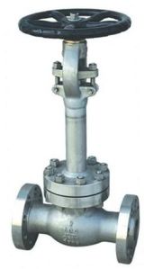 Stainless Steel Cryogenic Globe Valve