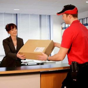 Business to Consumer Delivery Service