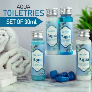 Hotel Shampoo