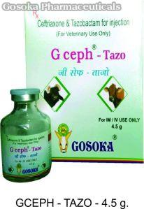 G Ceph - Tazo Injection
