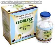 Gomox Forte Injection