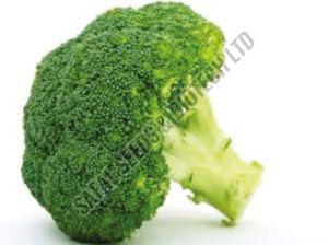 F1-Brocoli Vinay Cabbage Seeds