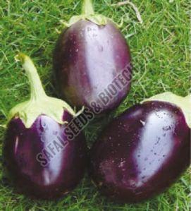F1-Dinnkar Brinjal Seeds