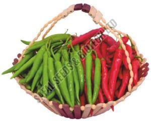 F1-Rakul Chilli Seeds