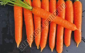 F1-Safal King Carrot Seeds