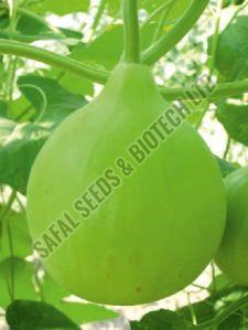 F1-Sheru Bottle Gourd Seeds