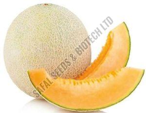 F1-SSB 04 Muskmelon Seeds