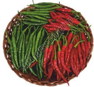 F1-SSB-153 Chilli Seeds