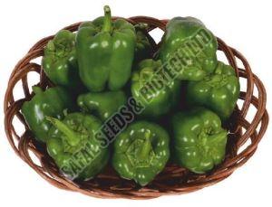 F1-SSB 241 Capsicum Seeds