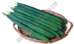 F1-SSB 334 Ridge Gourd Seeds