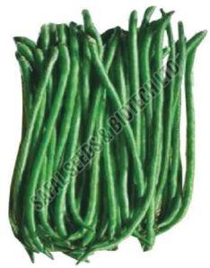 SSB 409 Beans Seeds