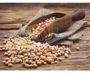 1kg Dry Soybean Seeds