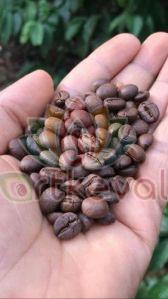 A Grade Roasted Coffee Beans