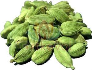 Bold Green Cardamom
