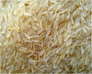 Indian Basmati 1509 Golden Sella Rice