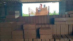 Cocopeat Blocks